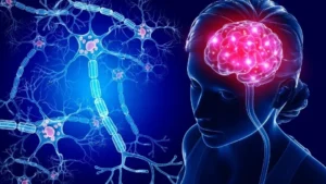 Nöroplastisite ile Felç Sonrası İyileşme: Yeni Yaklaşımlar