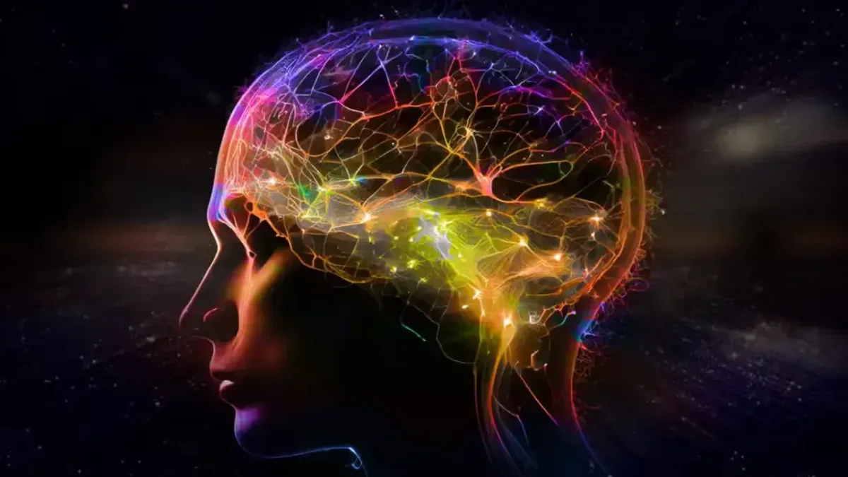 Beyin Plastisitesini Güçlendiren Felç Sonrası İyileşme Teknikleri: Son Yenilikler